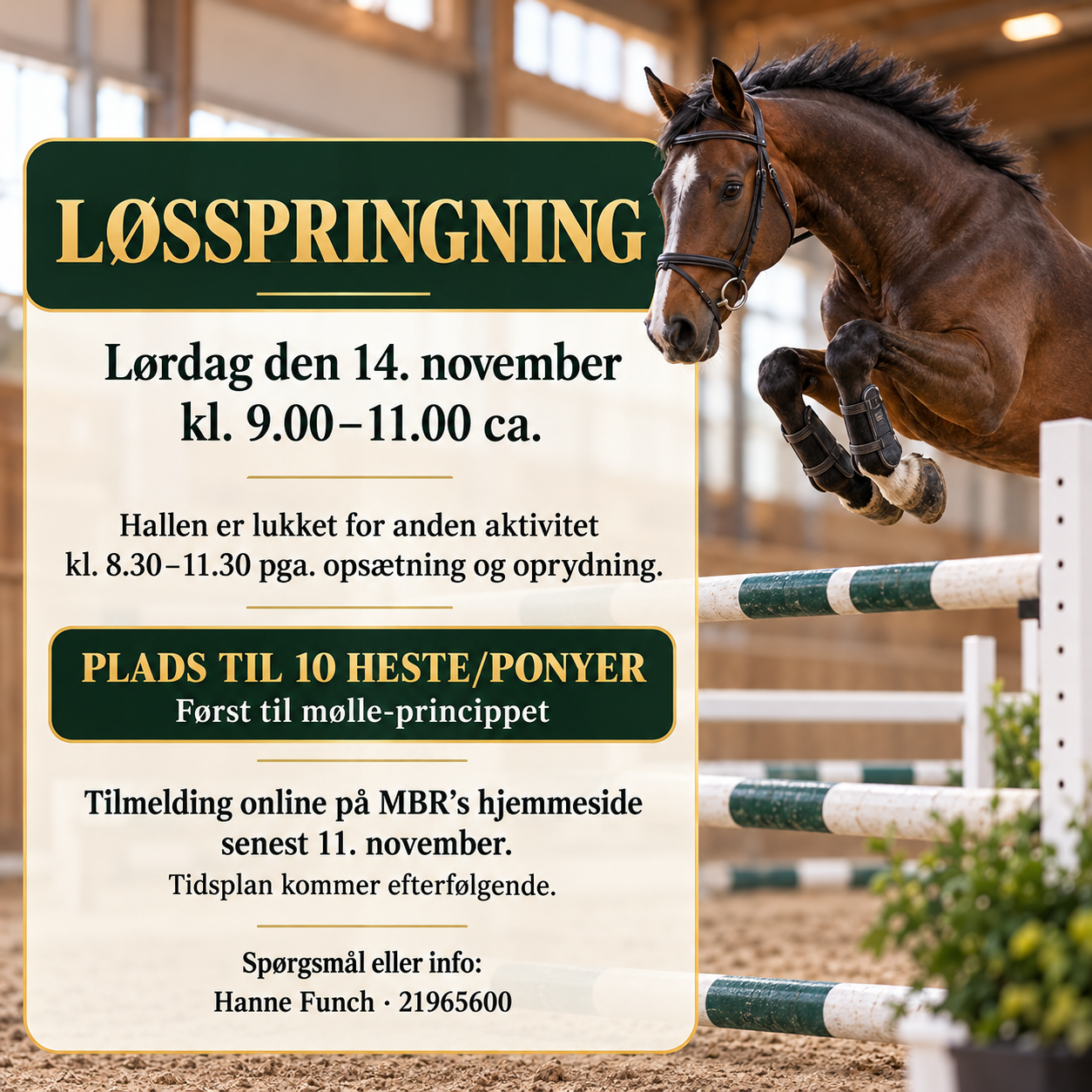 Løsspring AI